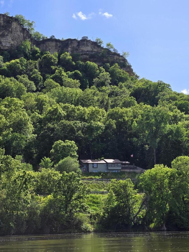 property view of mountains with a water view