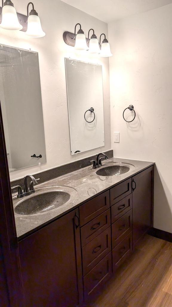 bathroom featuring wood-type flooring and vanity