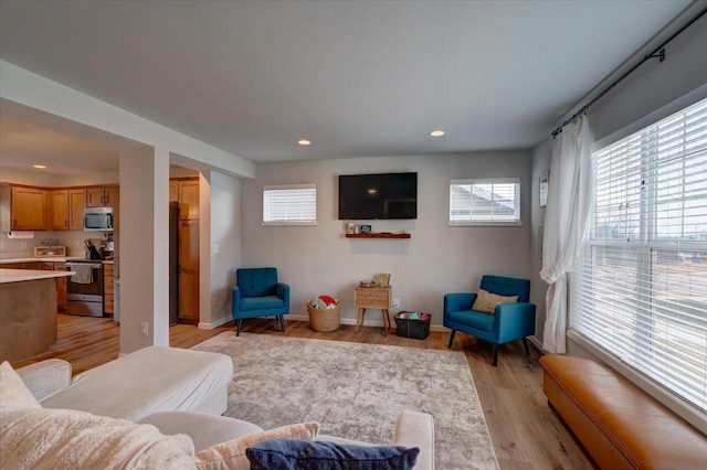 living room with light wood-type flooring