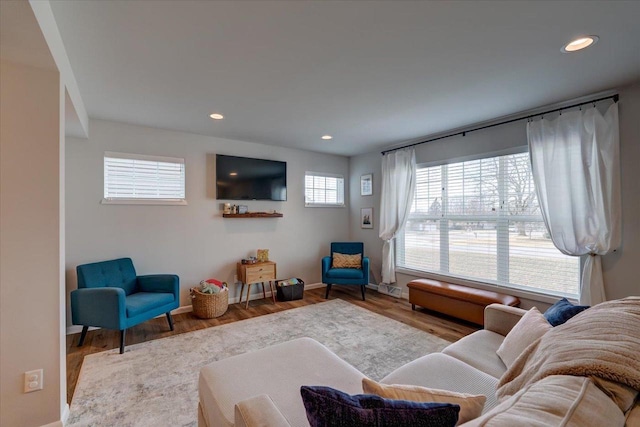 living room featuring hardwood / wood-style flooring