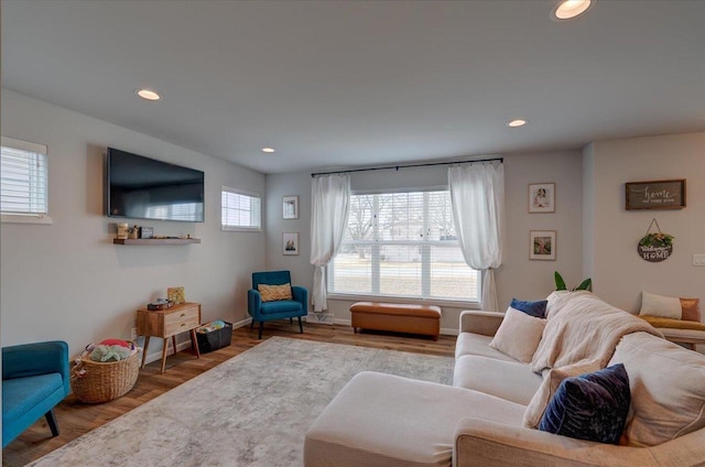 living room featuring hardwood / wood-style floors