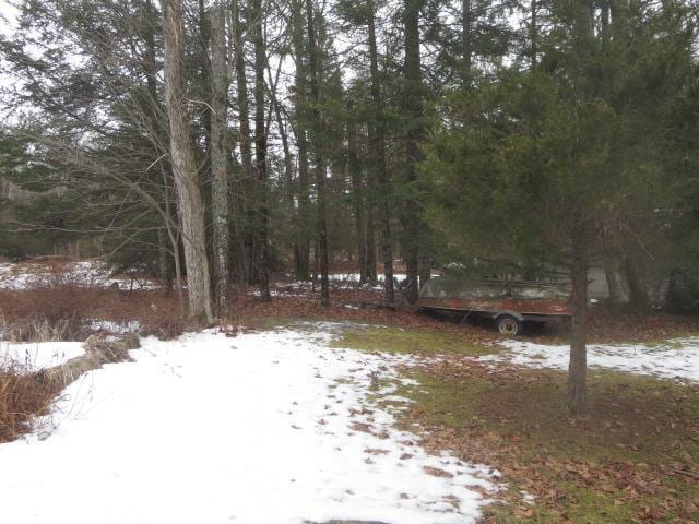 view of yard layered in snow