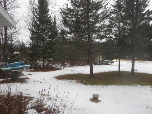 view of snowy yard