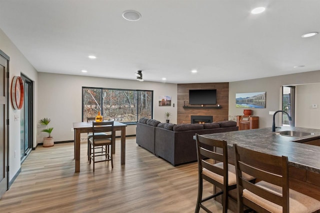 living room with a fireplace, a healthy amount of sunlight, light wood-type flooring, and sink