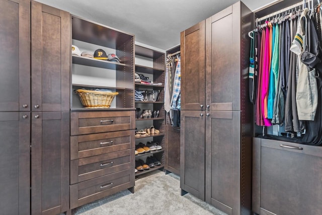 spacious closet featuring light colored carpet