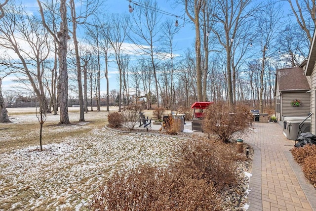 view of yard with a patio