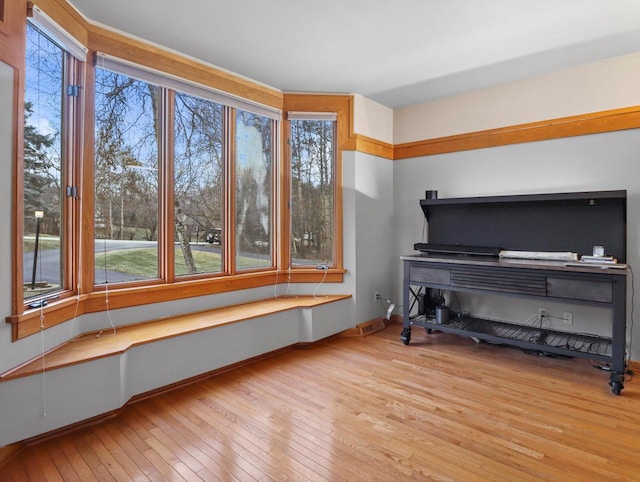 miscellaneous room with light hardwood / wood-style floors and a healthy amount of sunlight