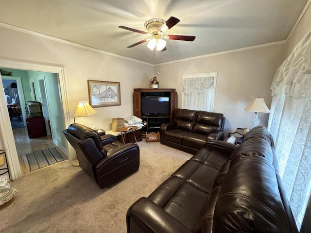 carpeted living room with ceiling fan and ornamental molding