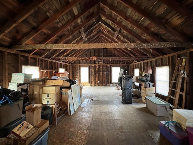 unfinished attic with plenty of natural light