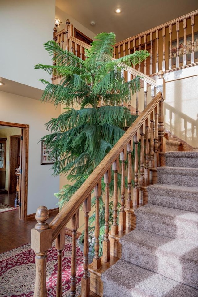 staircase featuring wood-type flooring