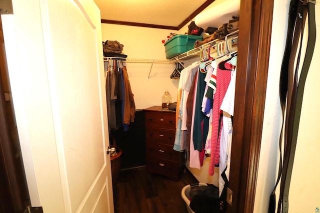 walk in closet with dark hardwood / wood-style flooring