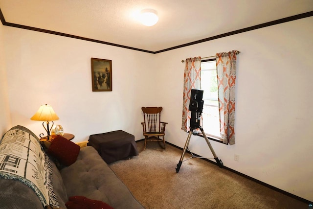 sitting room with carpet floors and crown molding