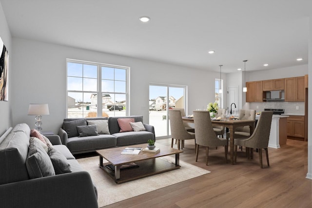 living room with hardwood / wood-style flooring and sink