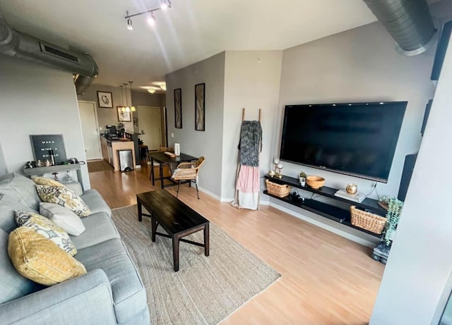 living room featuring wood-type flooring