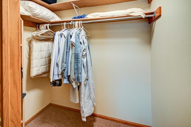 spacious closet featuring carpet floors