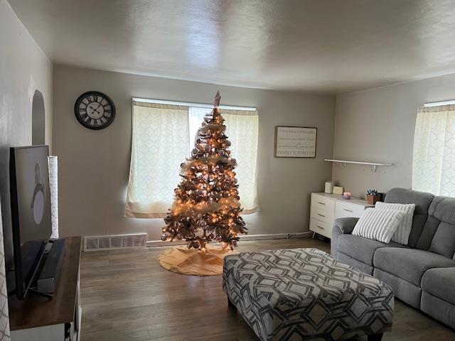 living room with dark hardwood / wood-style floors