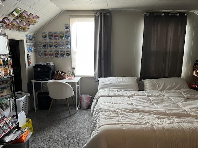 carpeted bedroom featuring vaulted ceiling