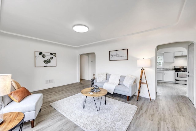 living room with light hardwood / wood-style flooring