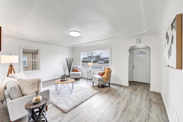 living room with light wood-type flooring