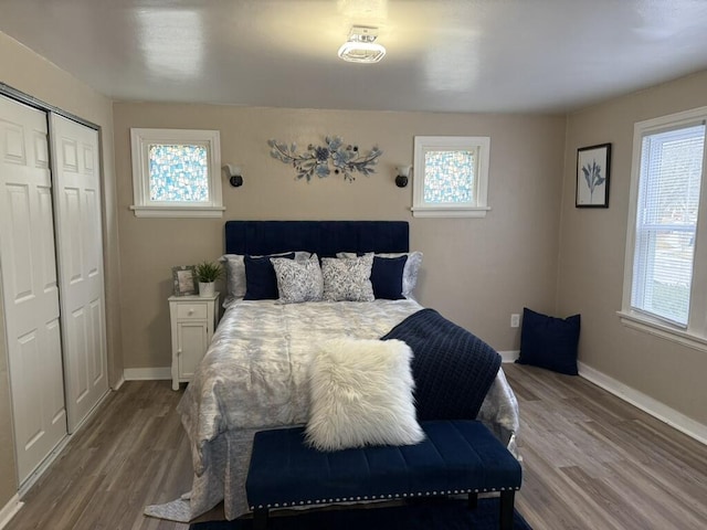 bedroom with a closet and wood-type flooring