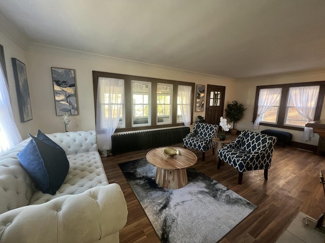 living room featuring dark wood-type flooring, plenty of natural light, radiator, and ornamental molding