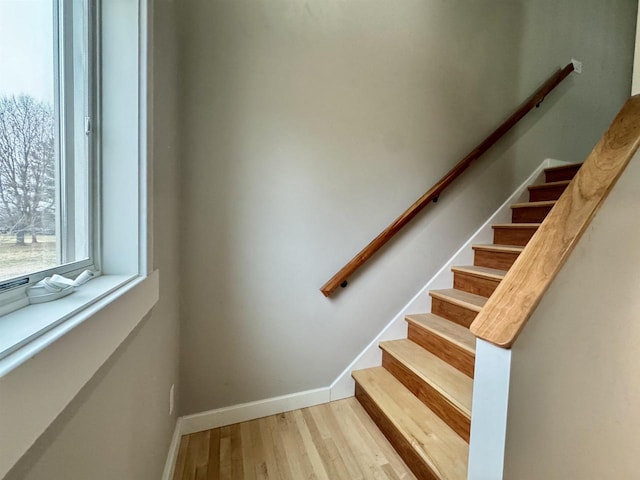 stairs with hardwood / wood-style flooring