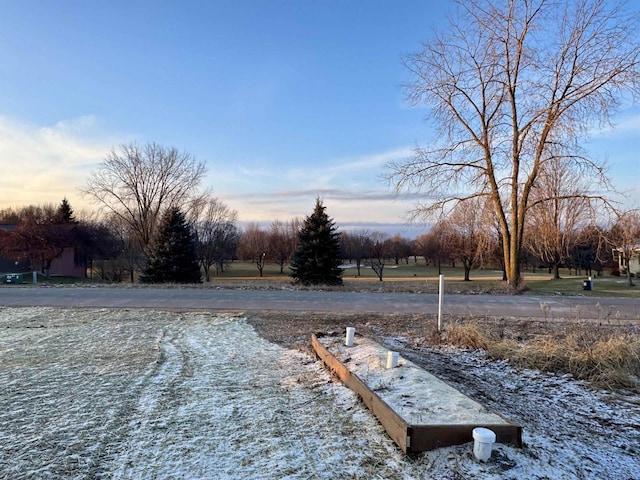 view of yard at dusk