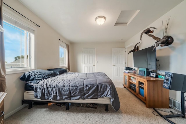 bedroom with carpet floors