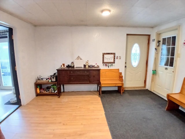 entryway with wood-type flooring