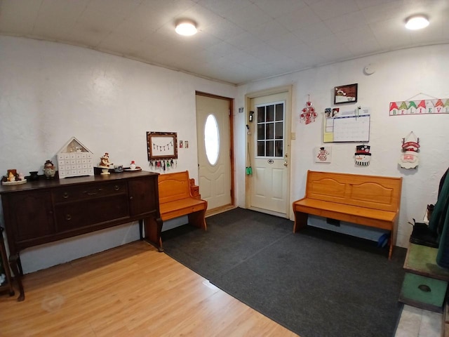 entrance foyer with light hardwood / wood-style floors