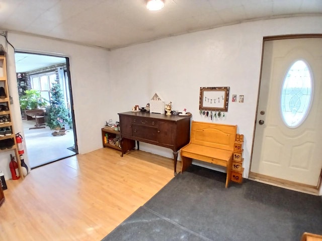 entryway featuring hardwood / wood-style floors and a wealth of natural light