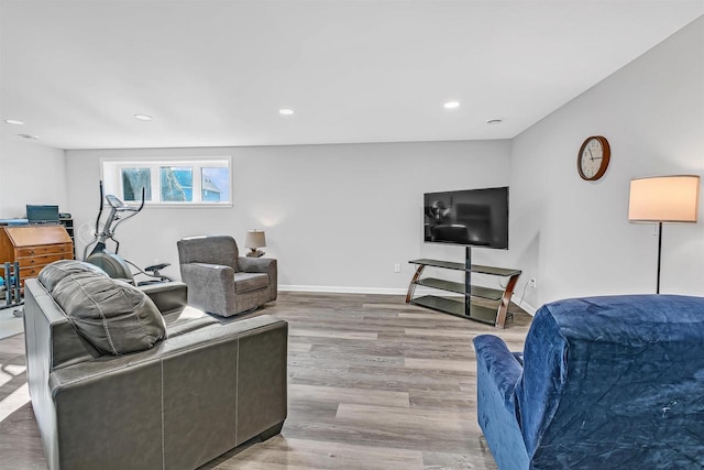 living room featuring light wood-type flooring