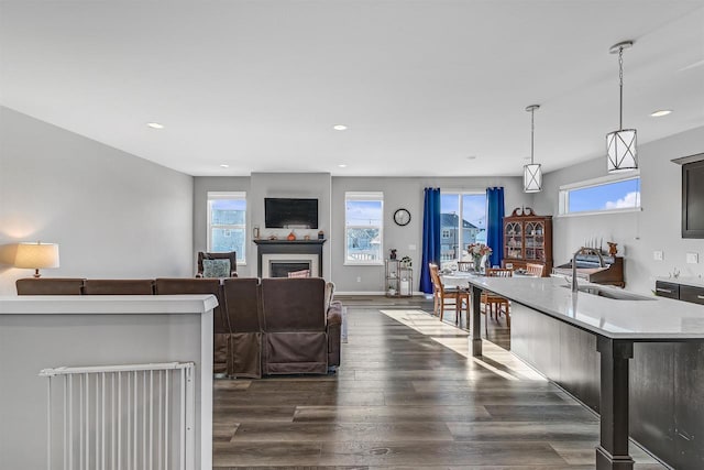 interior space featuring dark hardwood / wood-style floors and sink