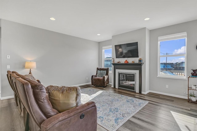 living room featuring hardwood / wood-style flooring and a wealth of natural light