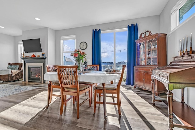 dining room featuring light hardwood / wood-style flooring