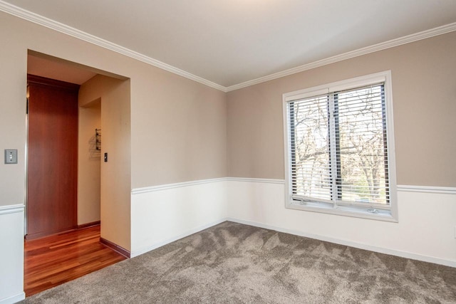 carpeted empty room featuring crown molding