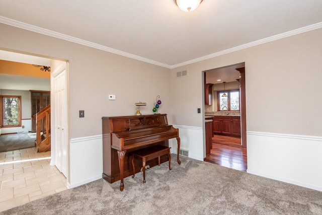 miscellaneous room featuring sink, carpet floors, and crown molding