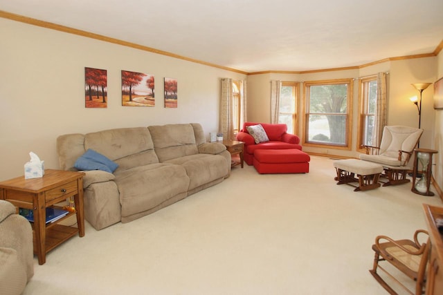 carpeted living room featuring ornamental molding