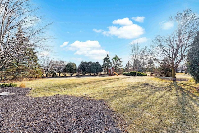 view of yard featuring a playground