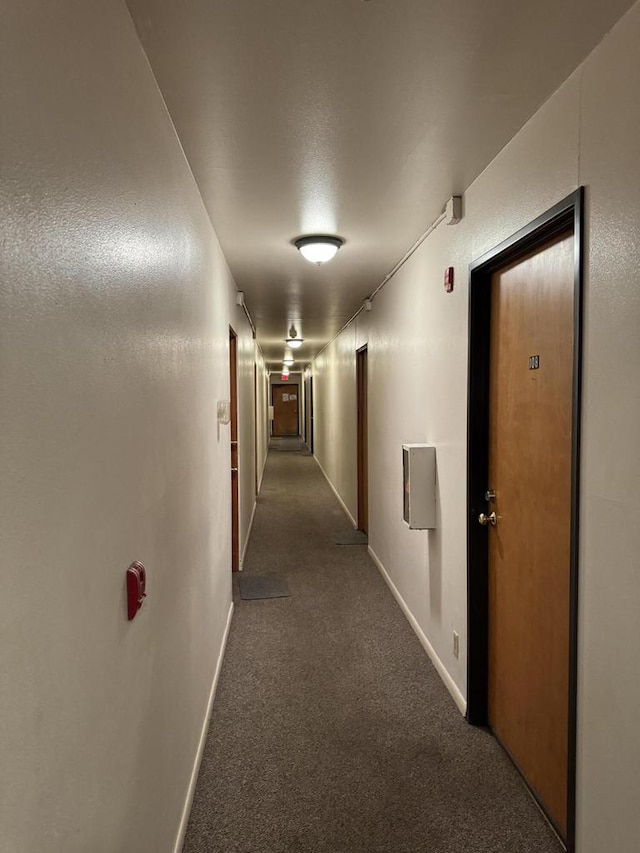 corridor with dark colored carpet