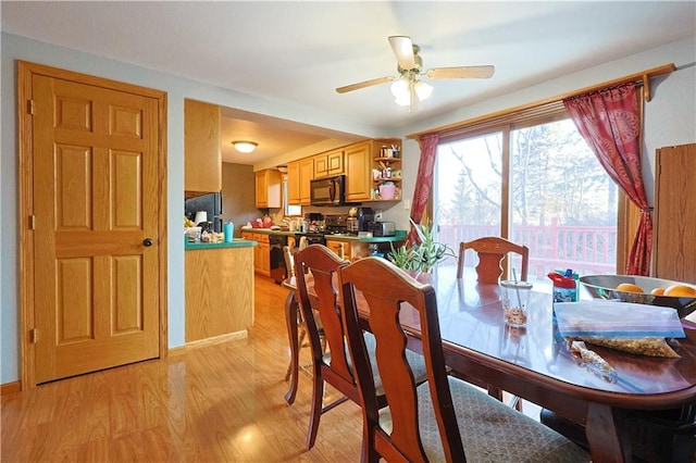 dining room with ceiling fan and light hardwood / wood-style flooring