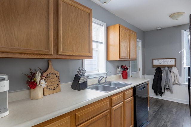 kitchen with dishwasher, a healthy amount of sunlight, dark hardwood / wood-style flooring, and sink