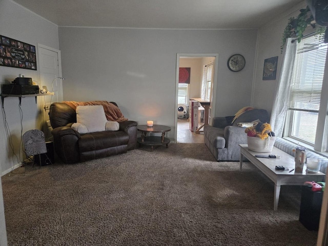 living room with carpet flooring