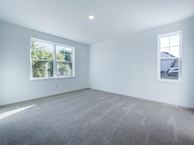 spare room featuring carpet and a healthy amount of sunlight