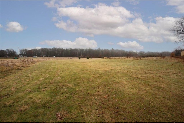 view of yard with a rural view