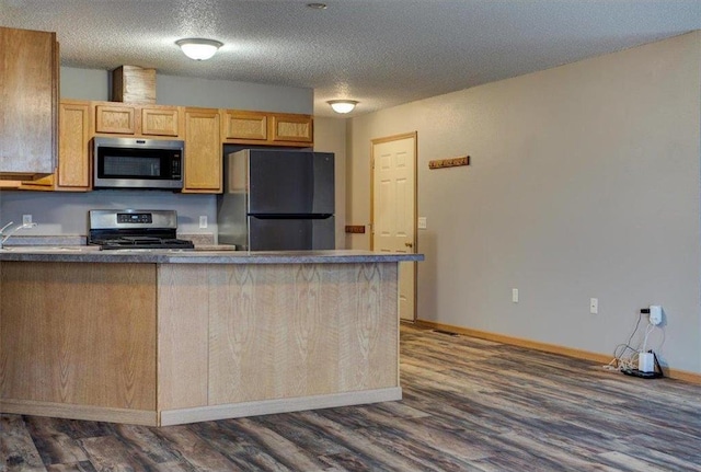 kitchen with a textured ceiling, light brown cabinets, dark hardwood / wood-style flooring, and stainless steel appliances