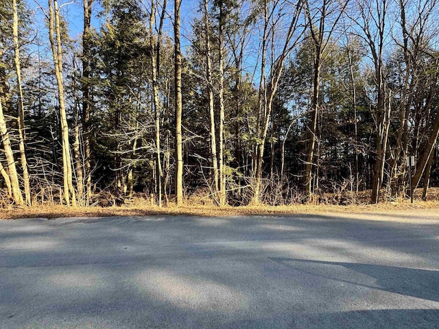 LOT2 Buttercup Rd, Wausau WI, 54401 land for sale