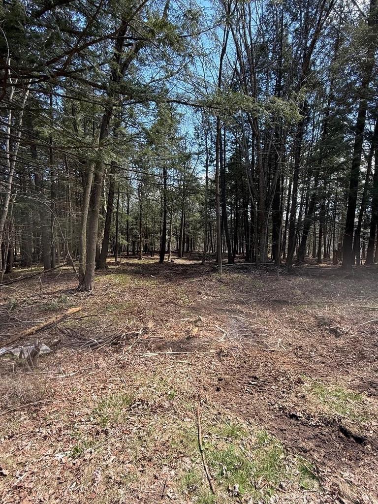 LOT2 Buttercup Rd, Wausau, WI 54401