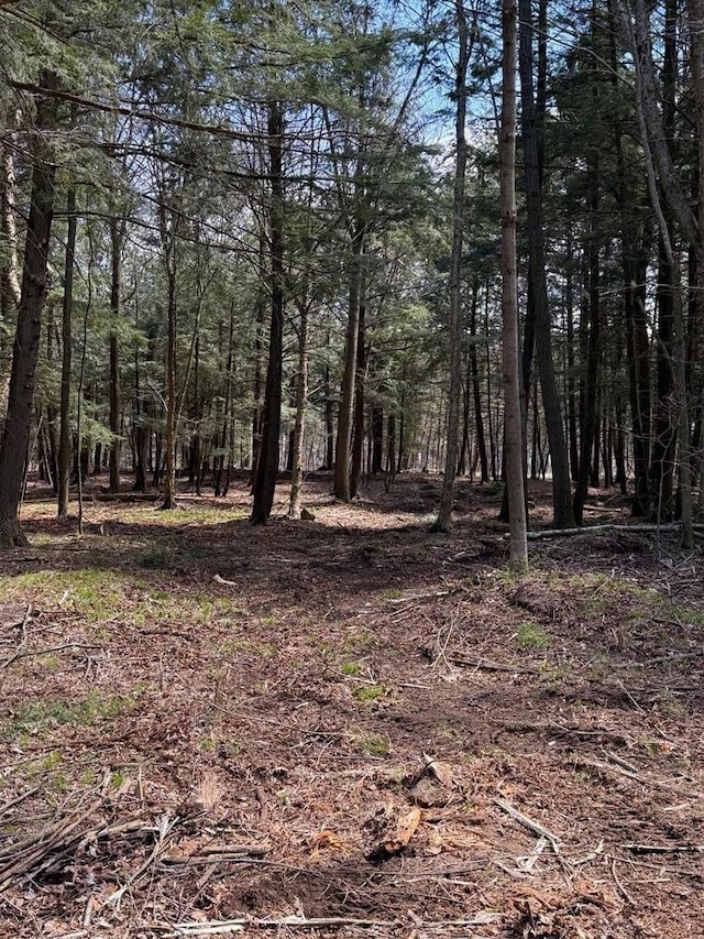 LOT2 Buttercup Rd, Wausau, WI 54401