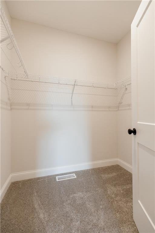 spacious closet featuring carpet